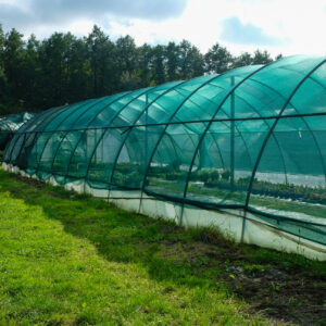 Filet brise-vent et d'ombrage vert 106gr/m² - Garantie UV 5 ans