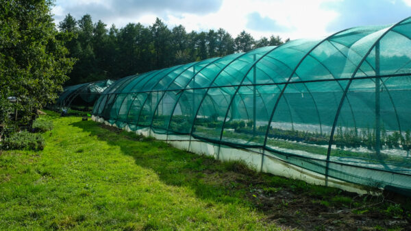 Filet brise-vent et d'ombrage vert 106gr/m² - Garantie UV 5 ans