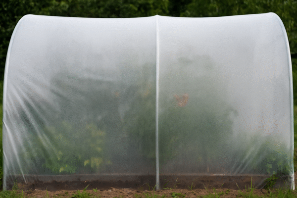 Bâche climatisante pour serre de jardin - 165gr/m² – Image 4